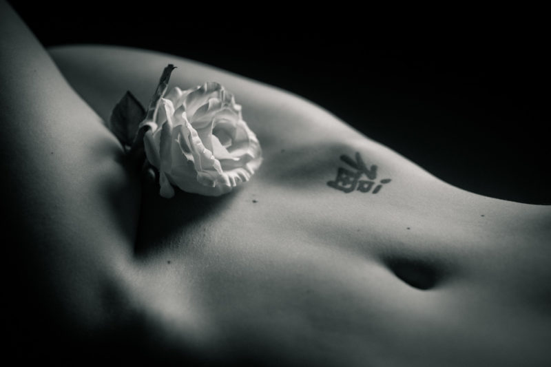 Thomas Wensing | Portfolio | Sensual & Nude | Rose Close Up